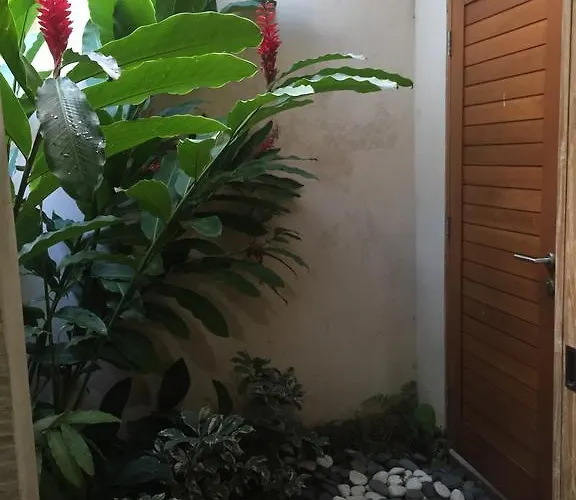 Couette-café Homayoon At Bisma - 10 Min Walk To Center Ubud